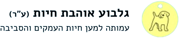 גלבוע אוהבת חיות