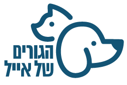 הגורים של אייל